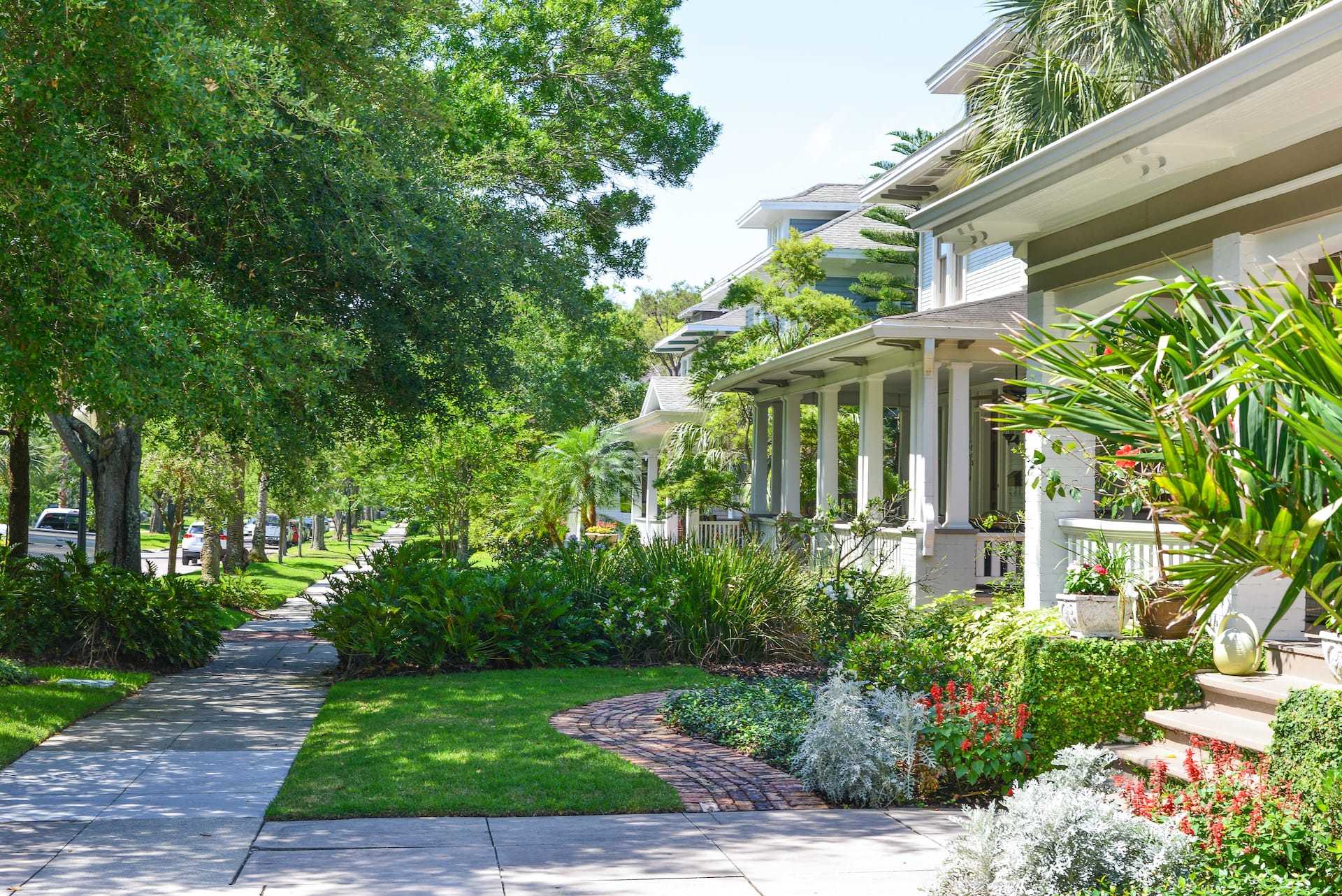 Row of sunny Hyde Park houses in Tampa, FL